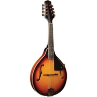 Kategoria Mandoliny i banjo